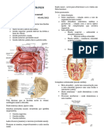 OTORRINOLARINGOLOGIA