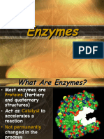 Enzyme