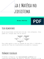 Energia e Matéria No Ecossistema