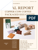 Copper Cow Coffee Final Report