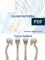 Coluna Vertebral