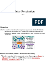 Cellular Respiration - Part 1