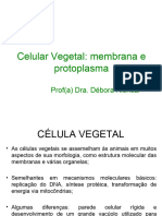 Aula 3 - Membrana Celular Vegetal Atual 2019.2