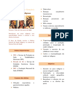 Política Nacional de Atenção À Saúde Dos Povos Indígenas