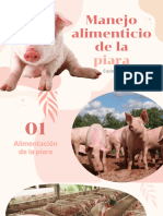 Alimentación de La Piara