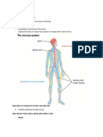 Nervous System