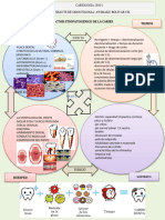 Factor Etiopatogenico de La Caries Actividad