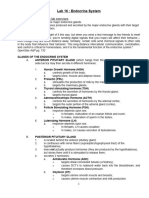 AP1 Lab16 Endocrine System FA2021