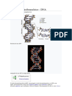 Ácido Desoxirribonucleico - DNA