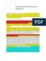 Criopreservación de Esperma de Platija Brasileña