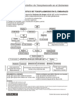 DX de Toxoplasmosis en El Embarazo