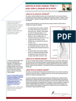 Entendiendo La Lesion Medular PARTE 1