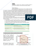 Guia 3-Fisiologia Del Ciclo y Gasto Cardiaco