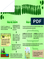 Ciclo Del Fósforo y Ciclo Del Carbono