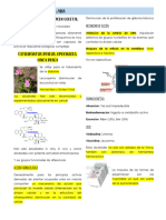 Sistema Inmune y Neoplasia