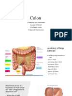 Colon 1