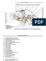 SDBodyL P2