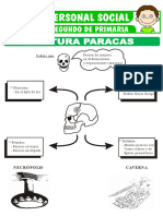 Cultura Paracas para Segundo de Primaria