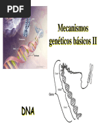 Clase 3 Mecanismos Genéticos Ii