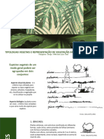 Tipos Vegetais e Representação Aplicados Ao Paisagismo PDF