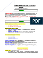 Apuntes Fundamentos Del Derecho Penal