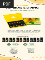 Kit Brasil Living