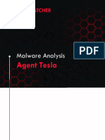 AgentTesla Rapport English Version