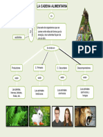 Mapa Conceptual de La Cadena Alimentaria 4