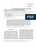 Reproductive Behavior and Embryonic Development of The Pharaoh Cuttlefish, Sepia Pharaonis