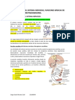 Cap46 Organizacion Del Sistema Nervioso