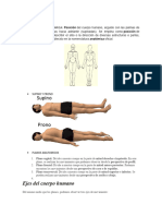 Glosario de Anatomia