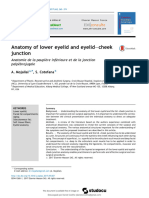 Anatomy of Lower Eyelid and Eyelid-Cheek Junction