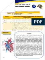 Ficha de Sesión N°19 V Unidad Biología 4° RNC 2023