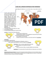 1a CLASE PDF