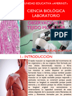 Lab. 3. - Tejido Múscular