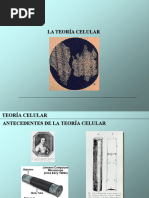 Teoria Celular Clase 22-O