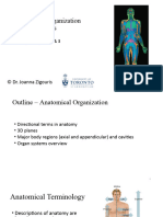 Lecture 1 - Anatomical Organization & Basic Tissues - 2023FALL