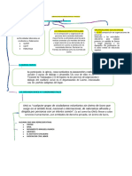 Identificación de Grupos Étnicos y Sociales