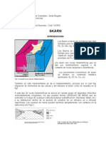 Documento de Skarn