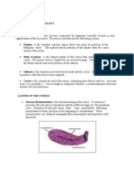 Anatomy and Physiology