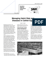 Managing Hatch Rate and Diseases in Catfish Eggs