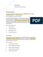 Patologia Arterial Recuerdo Anatómico y Fisiológico