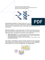 Nucleic Acids