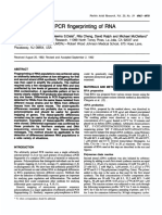 An 'Equalized cDNA Library' by The Reassociation of Short Double-Stranded cDNAs