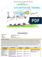 Proyecto N 7 Los Chanchitos de Tierra)