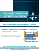 Slide 04 - Composição e Função Dos Nutrientes Nas Plantas