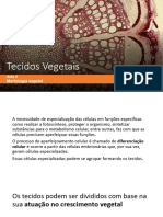 Aula 3 - Tecidos Vegetais - Parte 1