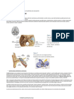 Vestibulopatias Tentando