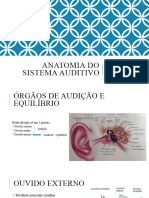 Anatomia Do Sistema Auditivo