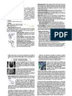 Osteologia de Miembro Inferior